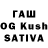 Галлюциногенные грибы Psilocybine cubensis Daily Formula