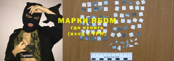 соль ск Ельня