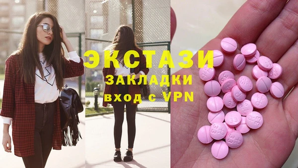 соль ск Ельня