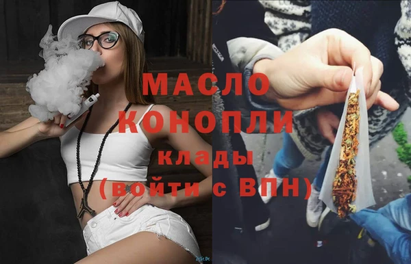 соль ск Ельня