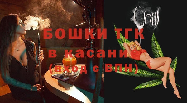 соль ск Ельня
