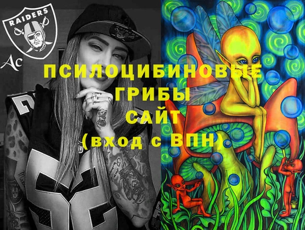 соль ск Ельня