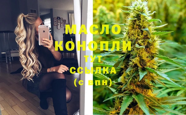 соль ск Ельня