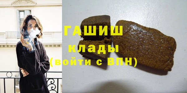 соль ск Ельня