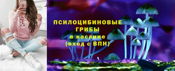 бутират Дмитриев