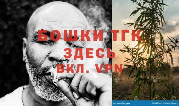 кокс Елизово