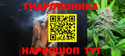 стаф Малгобек