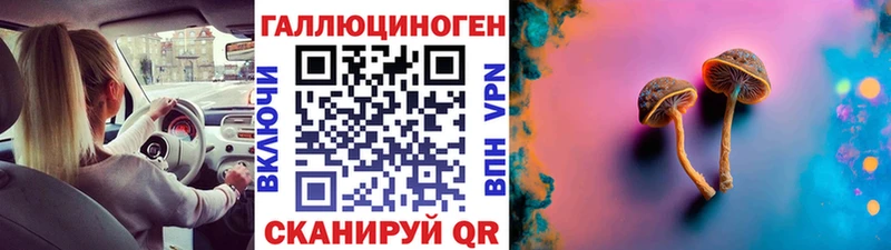 Псилоцибиновые грибы Psilocybe  мега зеркало  Рыбинск  продажа наркотиков 
