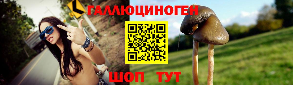 Галлюциногенные грибы MAGIC MUSHROOMS  как найти наркотики  Вход с VPN  Рыбинск  Галлюциногенные грибы MAGIC MUSHROOMS 